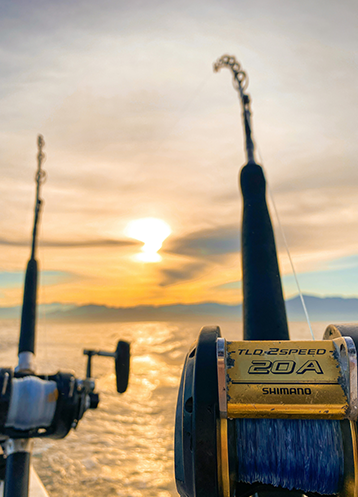 fishing poles in front of a sunset