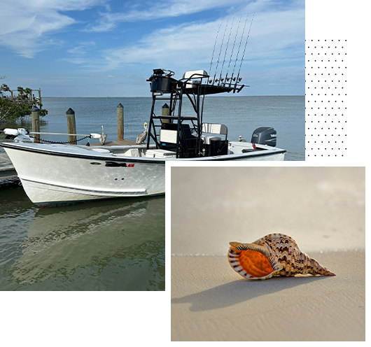 Florida fishing charter and a sea shell