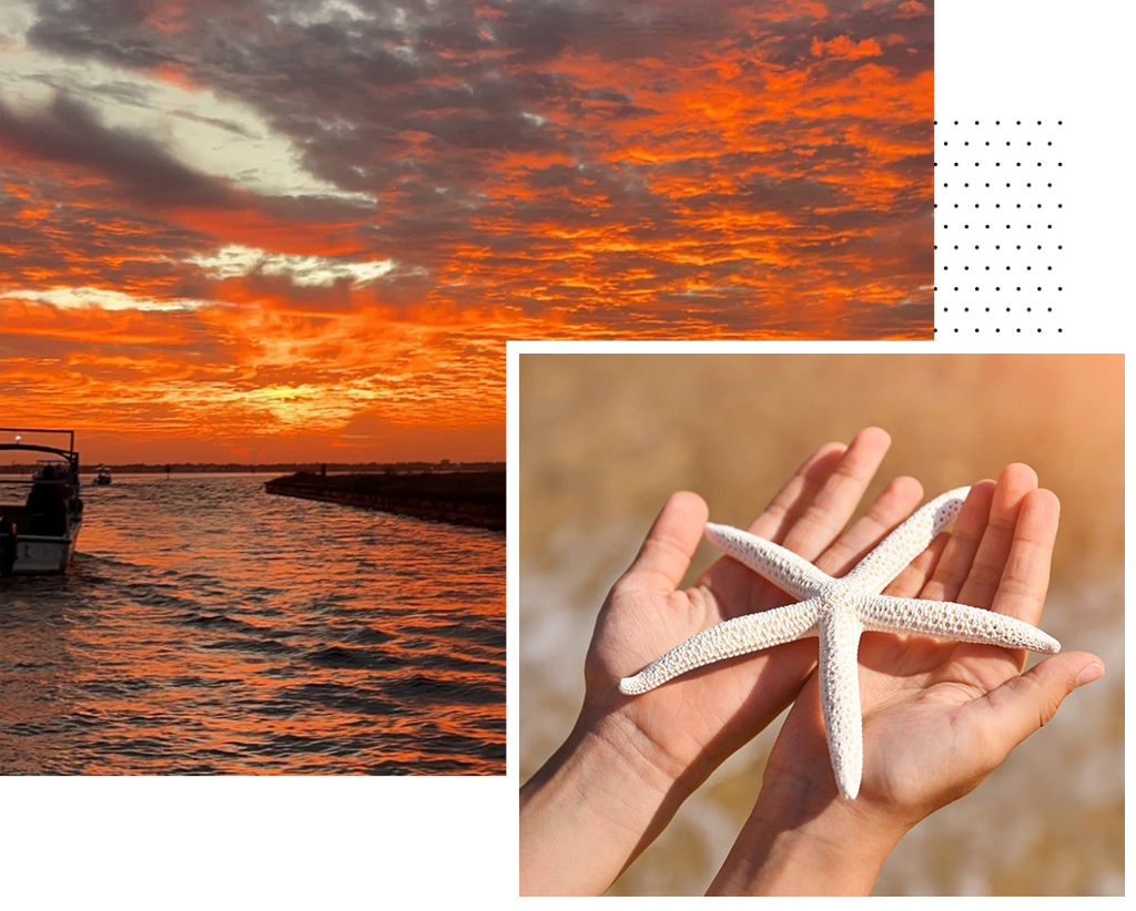 hands holding a starfish in front of a beautiful orange sunset